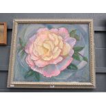 Sylvia Molloy oil on canvas 'Pink Rose'