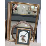 2 prints of birds, a circular mirror, rectangular mirror and a print of an ocelot