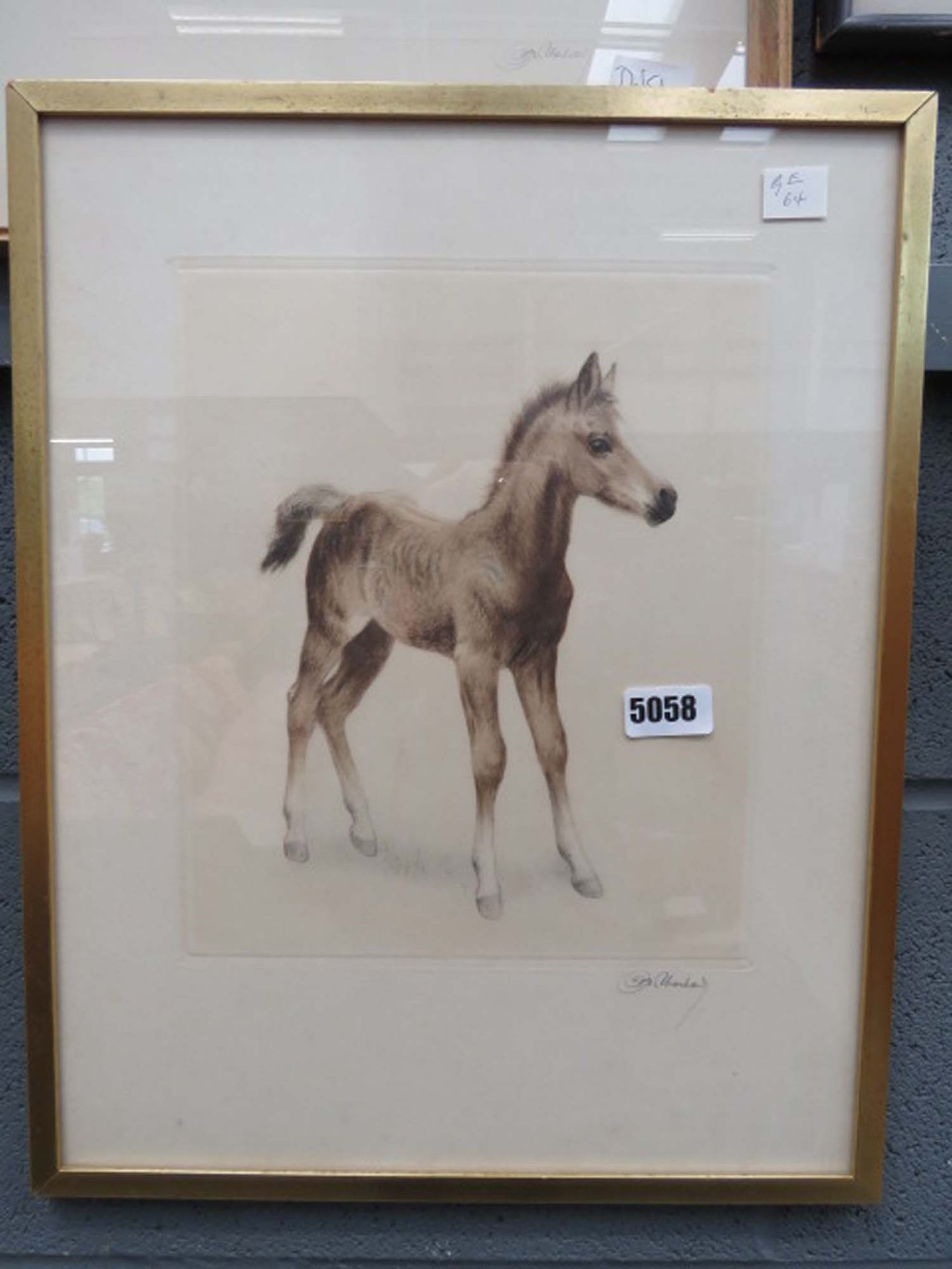 Coloured engraving of a pony