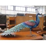 Painted metal ornamental peacock