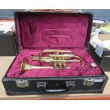 Cased brass tuba