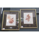 Pair of limited edition William Garfit prints 'Grouse in Heather' and 'Fellow Deer'