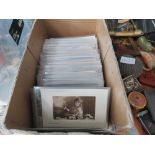 Box containing postcards