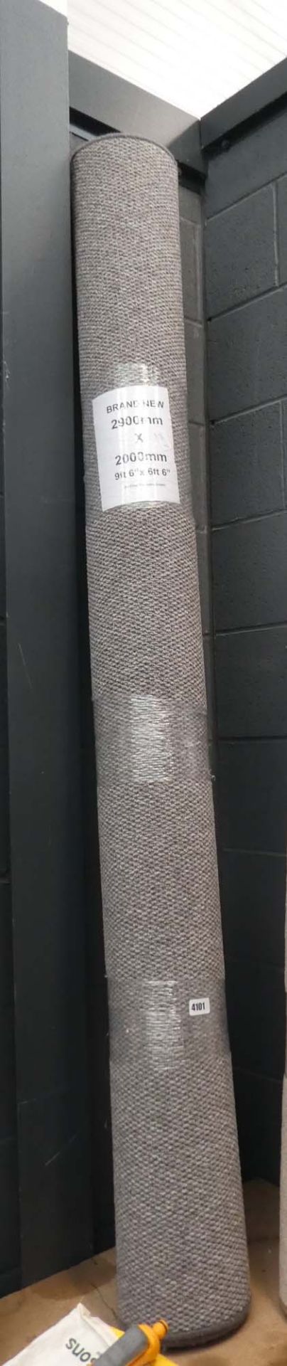 4105 Large grey carpet mat, 2900mm x 2000mm