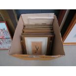 Box containing various prints of stately homes, etc.
