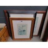 3 framed and glazed prints of birds, and rhino
