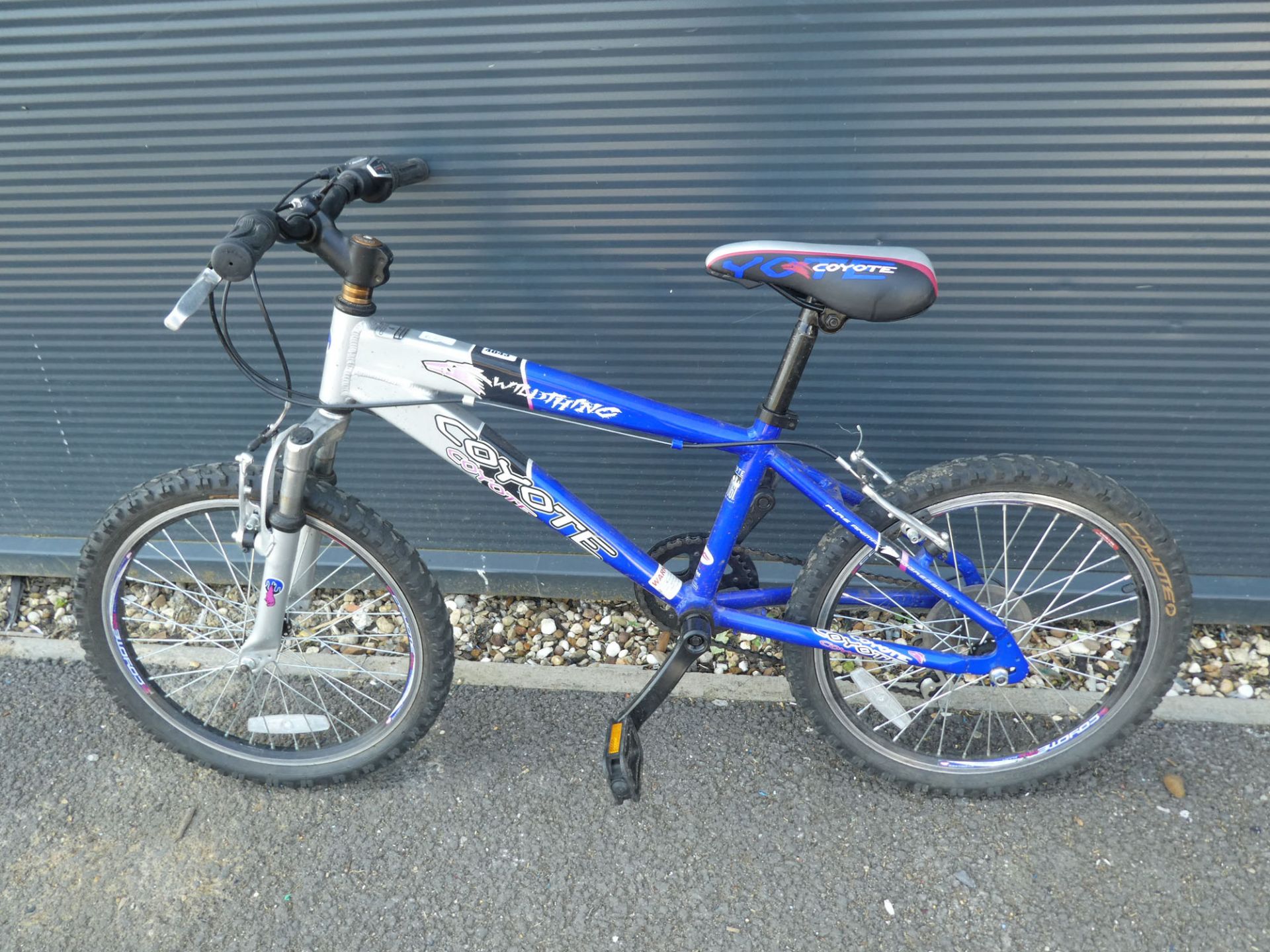 Blue Coyote childs bike