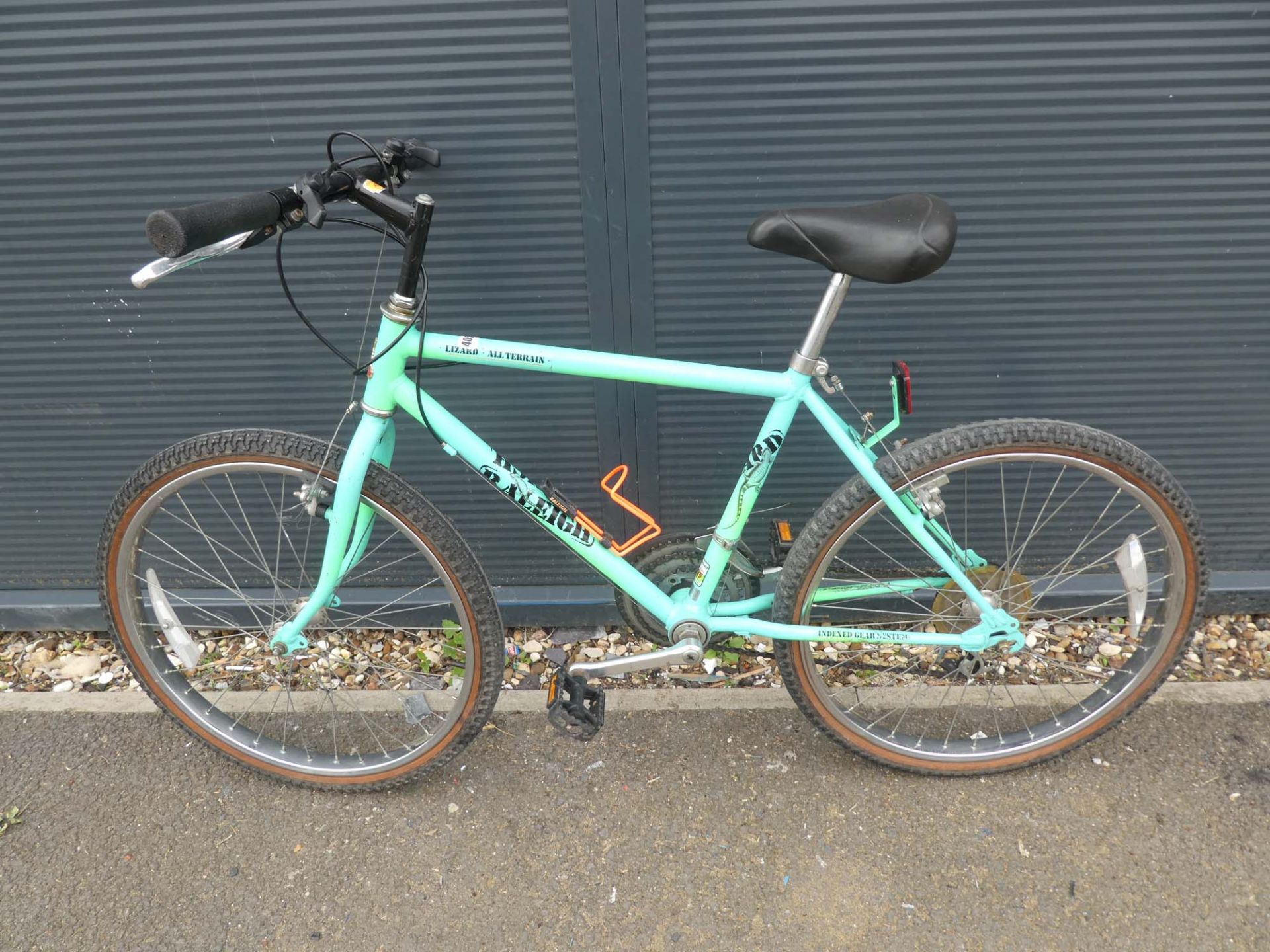 4042 Green Raleigh bike