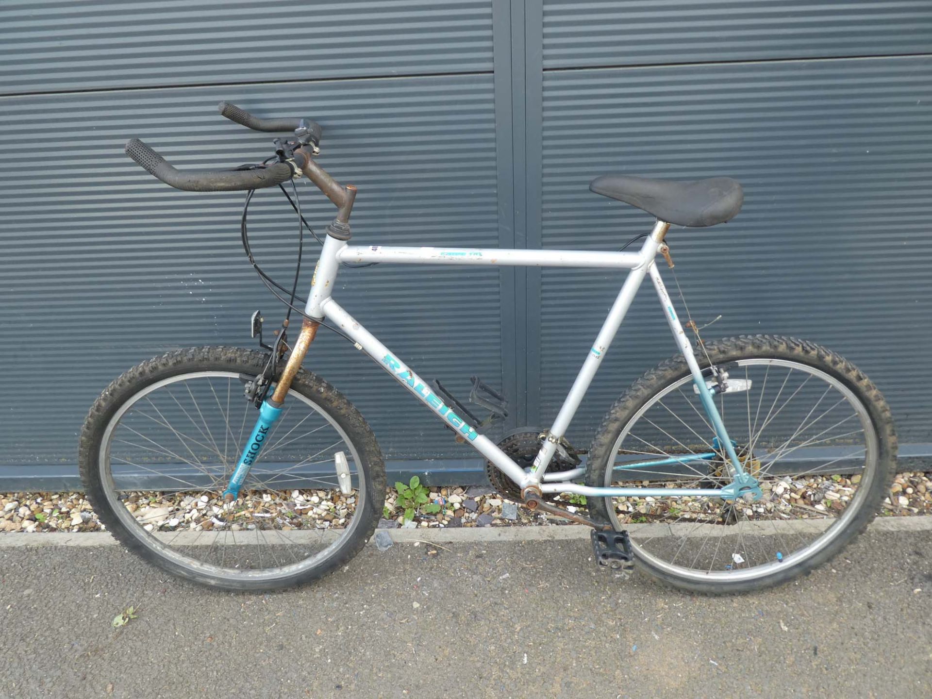 Silver and green Raleigh mountain bike