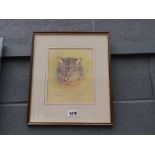 Limited edition Ann Kearns print of a tabby cat