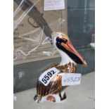 CRown Derby Pelican