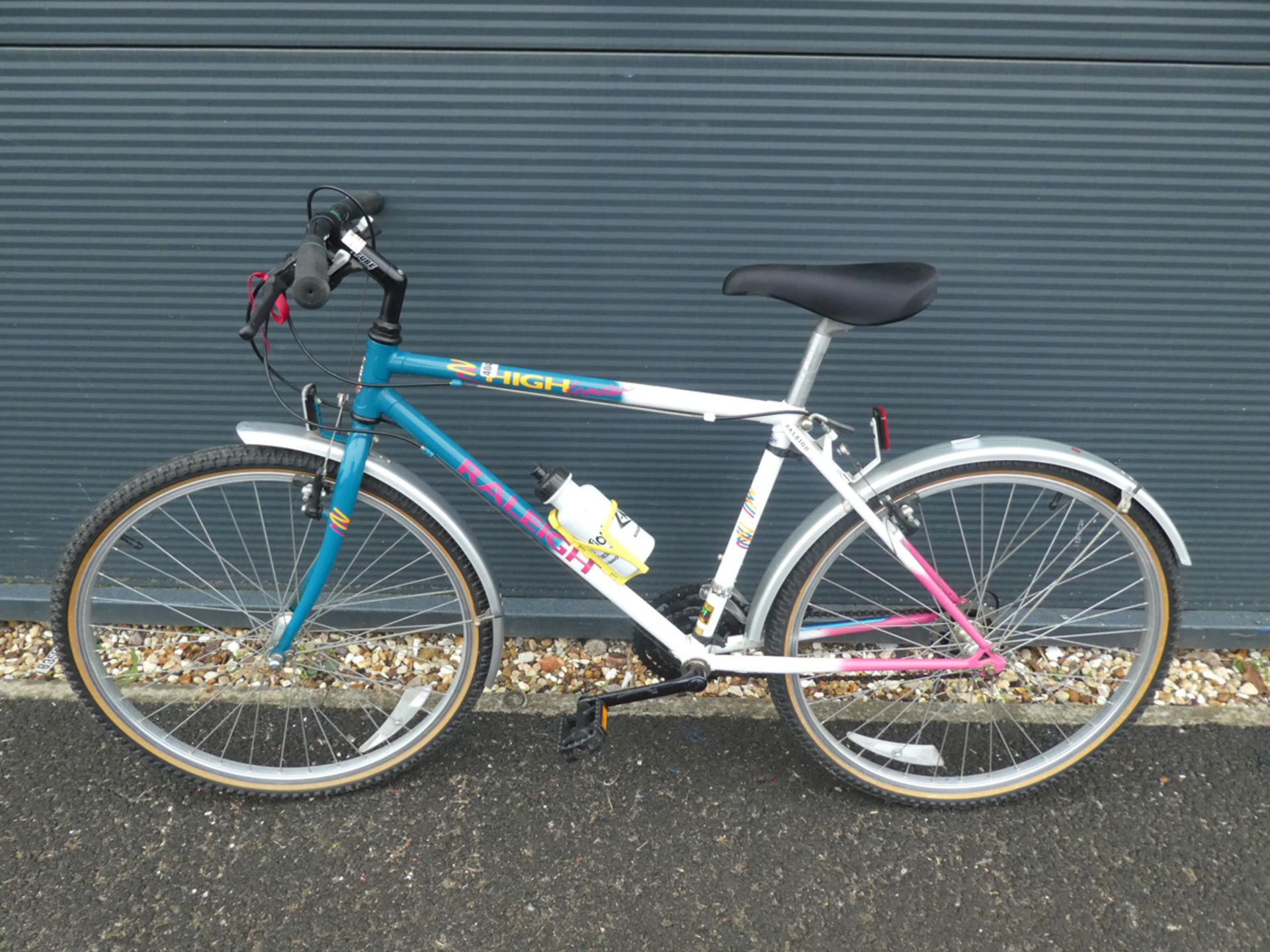 Raleigh mountain bike in blue and white