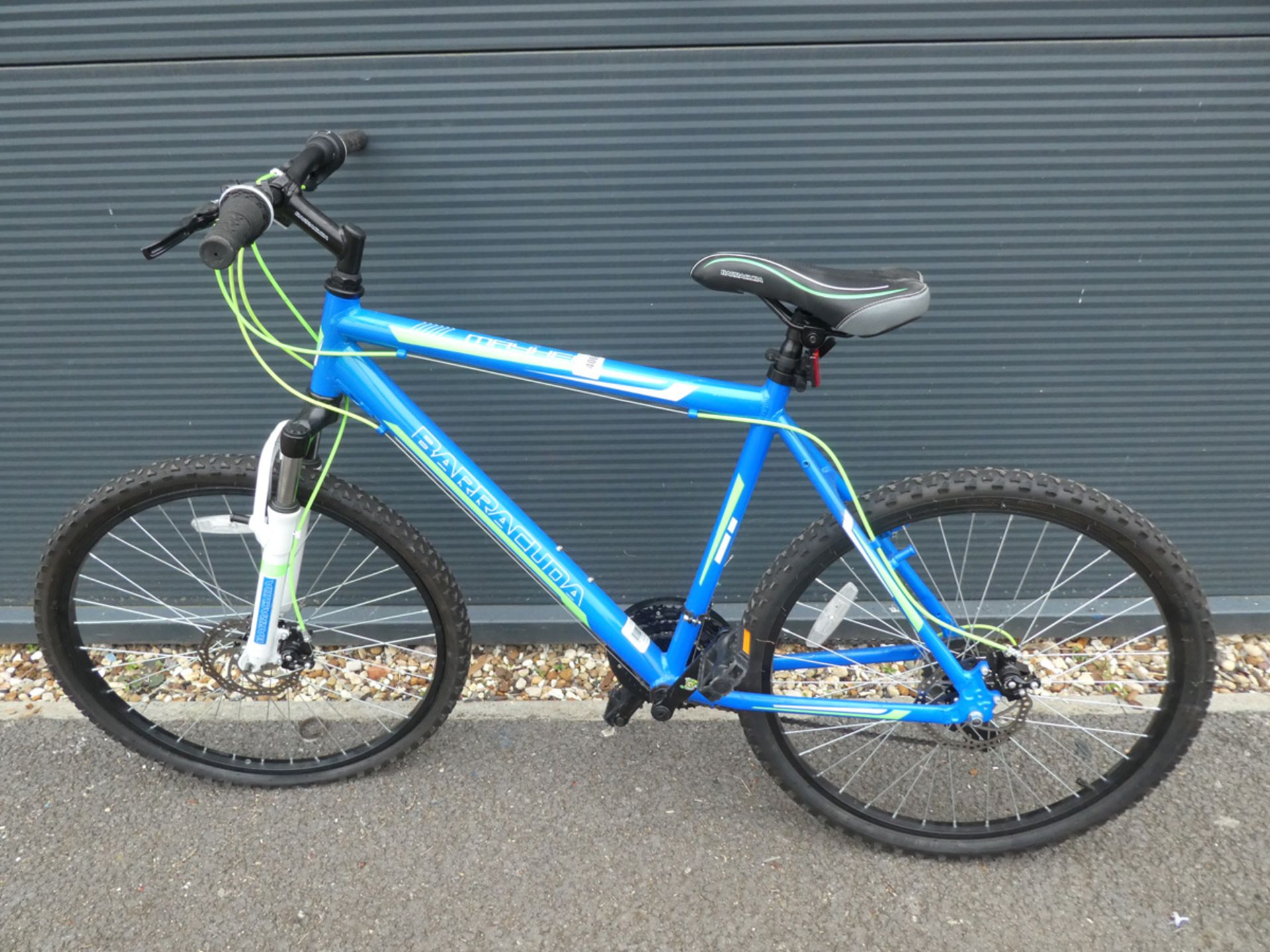 Barracuda mountain bike in blue and green