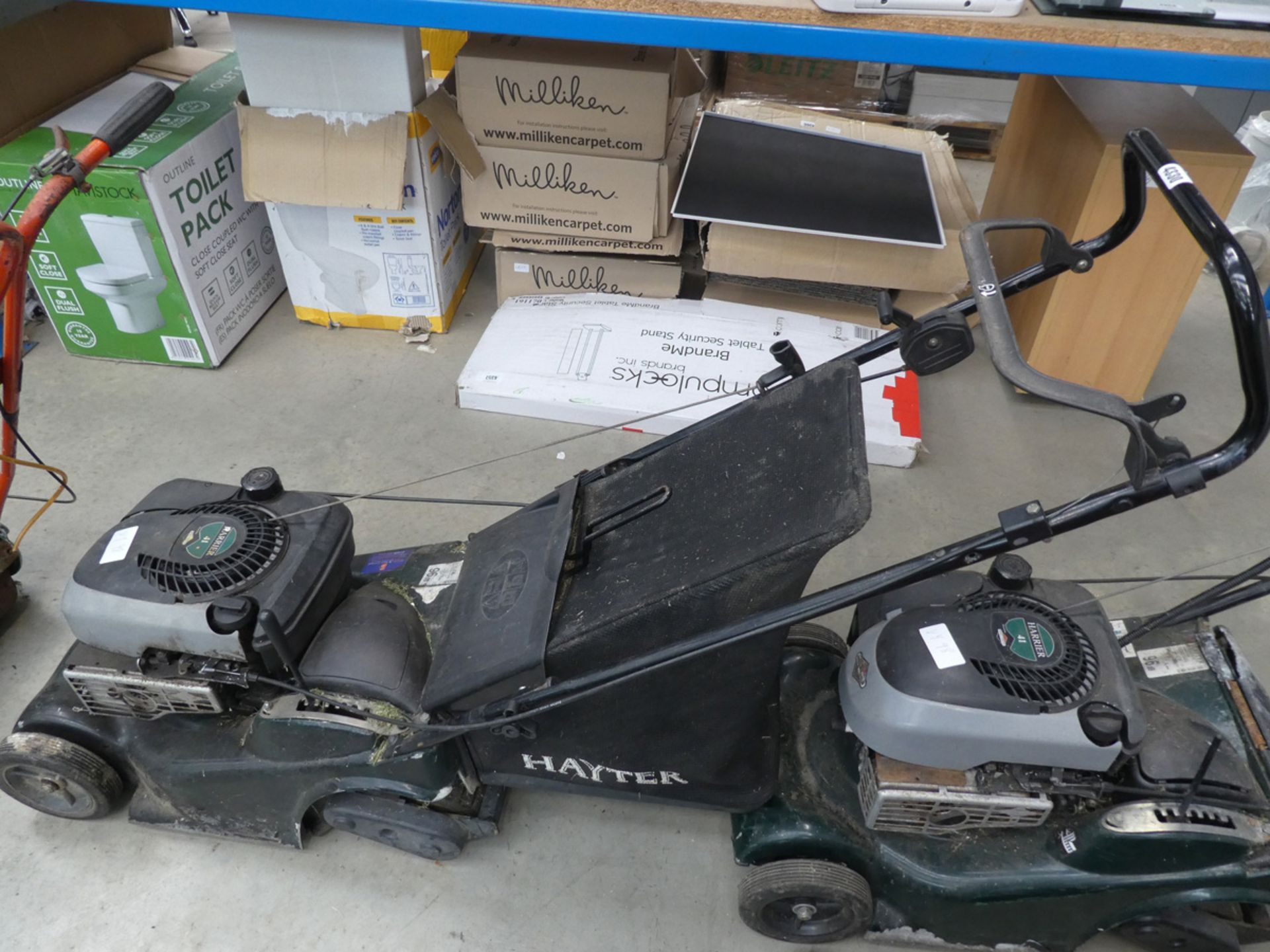 Hayter Harrier petrol powered rotary lawn mower with box