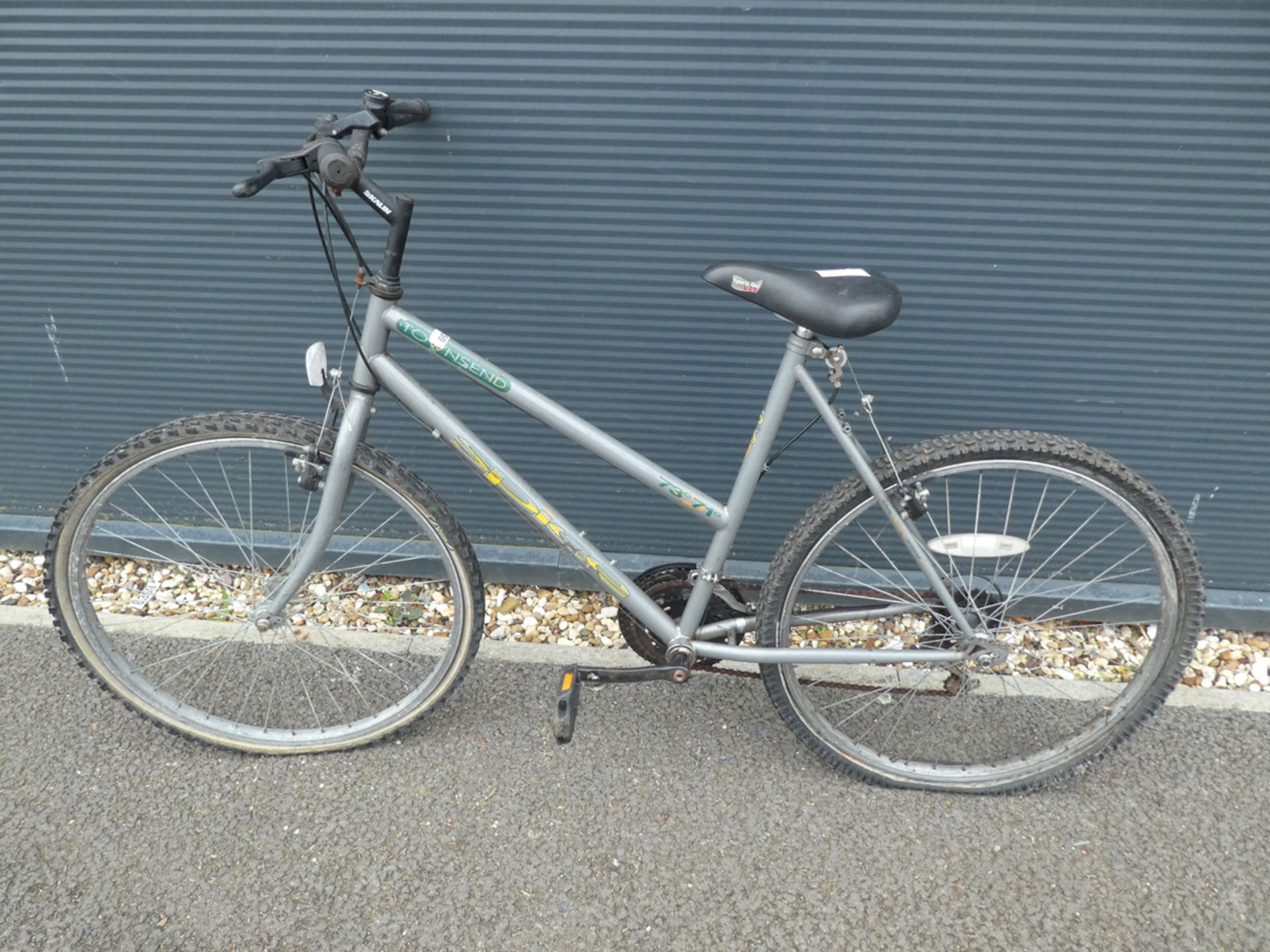 Townsend Spice mountain bike in grey