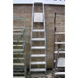 6-tread aluminium ladder