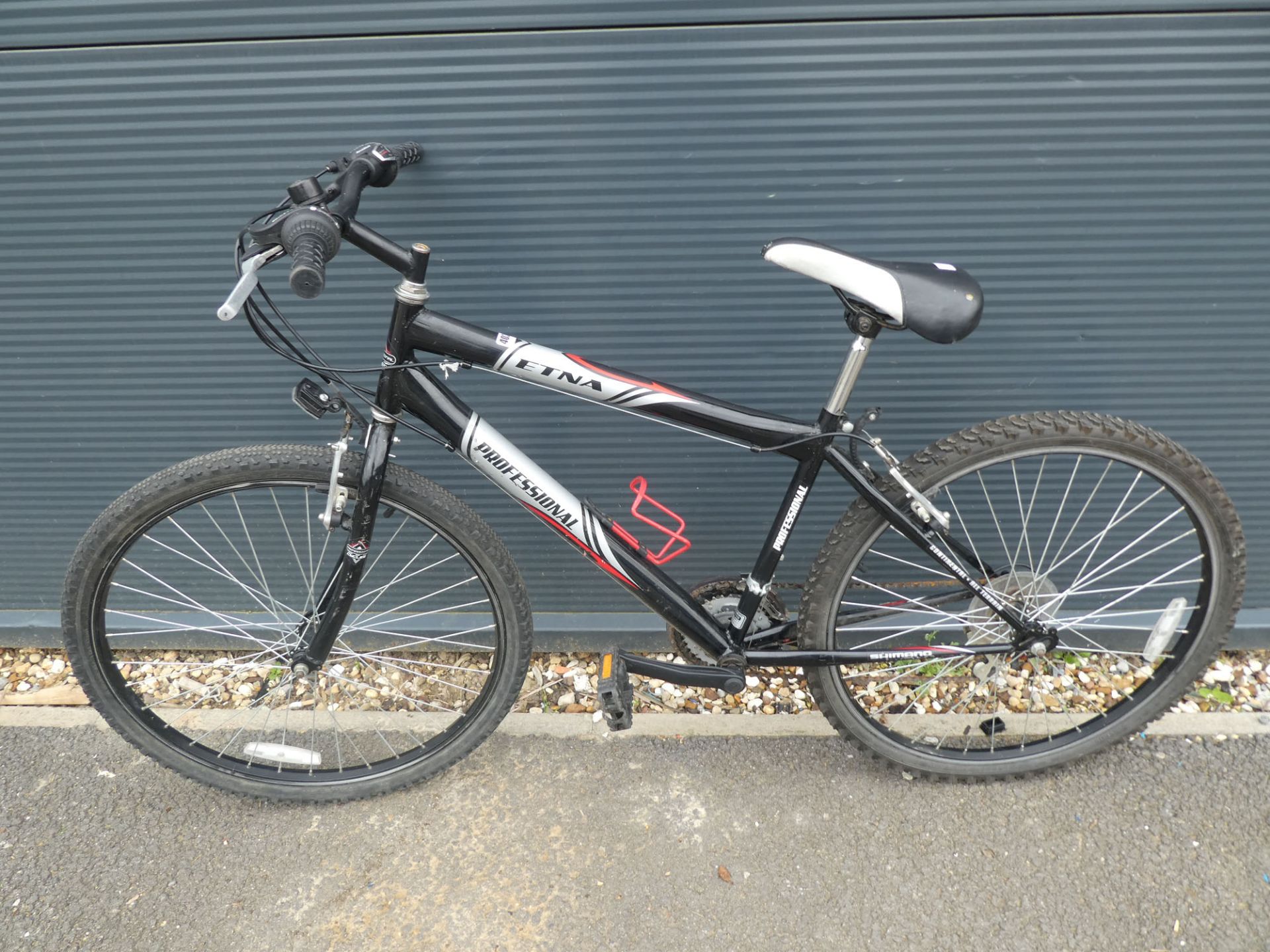 Etna professional black and silver mountain bike