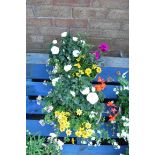 2 concrete planters of mixed plants incl. daisies and small roses