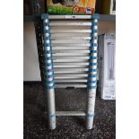 12 step extending ladder