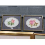 5070 Pair of watercolours - pink roses