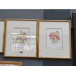 3 Fynbos & Protea watercolours by Janet Bester Spaun