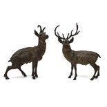 A pair of cold-painted bronze figures modelled as a stag and deer, presumably Austrian, h.