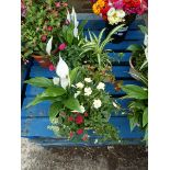2 bamboo style planters with lilies, roses and assorted plants