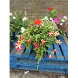 Large free standing pot of assorted flowers with petunias and others