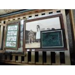 Collection of various framed pictures