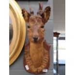 Taxidermists example of a roebuck