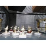 Cage containing pigeon trophies