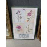 Gallery print with Macintosh flowers