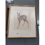 Print of a fawn