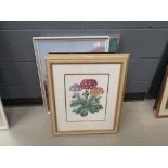 Quantity of botanical prints, harbour scene, hummingbirds and foliage