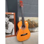 Stagg acoustic guitar