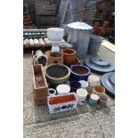 Large quantity of various ceramic decorative plant pots