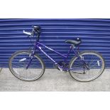 Raleigh mountain bike in purple