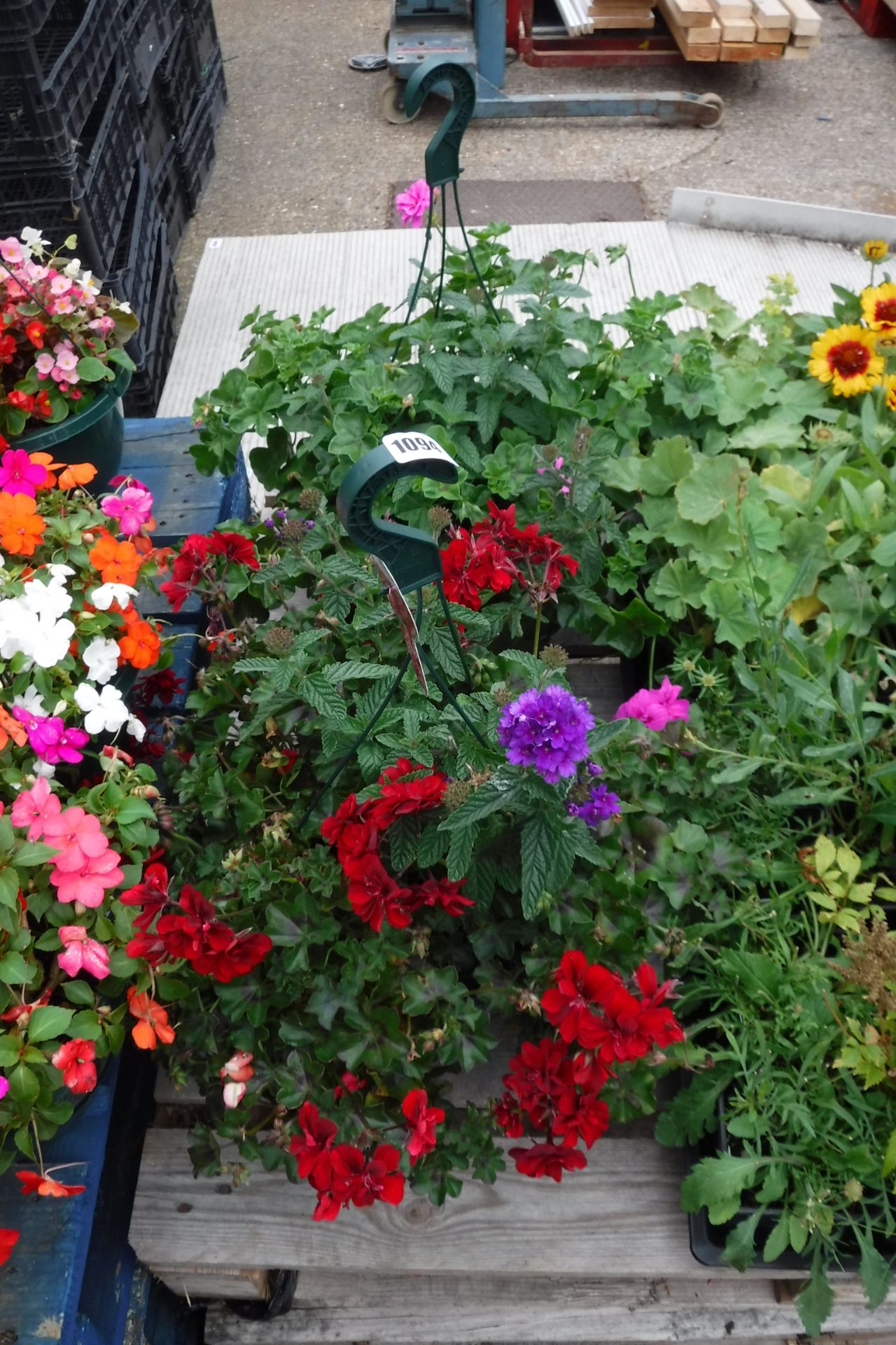 2 mixed plant hanging baskets