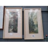 5421 Pair of framed and glazed prints of swans in river