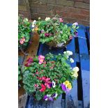 Pair of pre planted hanging baskets