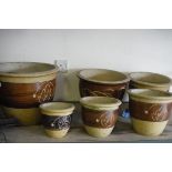 Set of 6 ceramic brown painted garden pots with leaf decoration