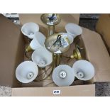 Pair of multi branch ceiling light fixtures with glass shades
