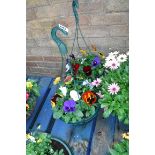 Pair of pansy hanging baskets