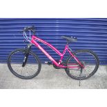 Girls Reebok Evolve bike in pink