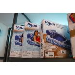 (1067) 3 Aqua inflatable pool loungers