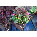 Wicker patio tub of mixed plants