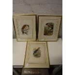 3 framed and glazed bird prints