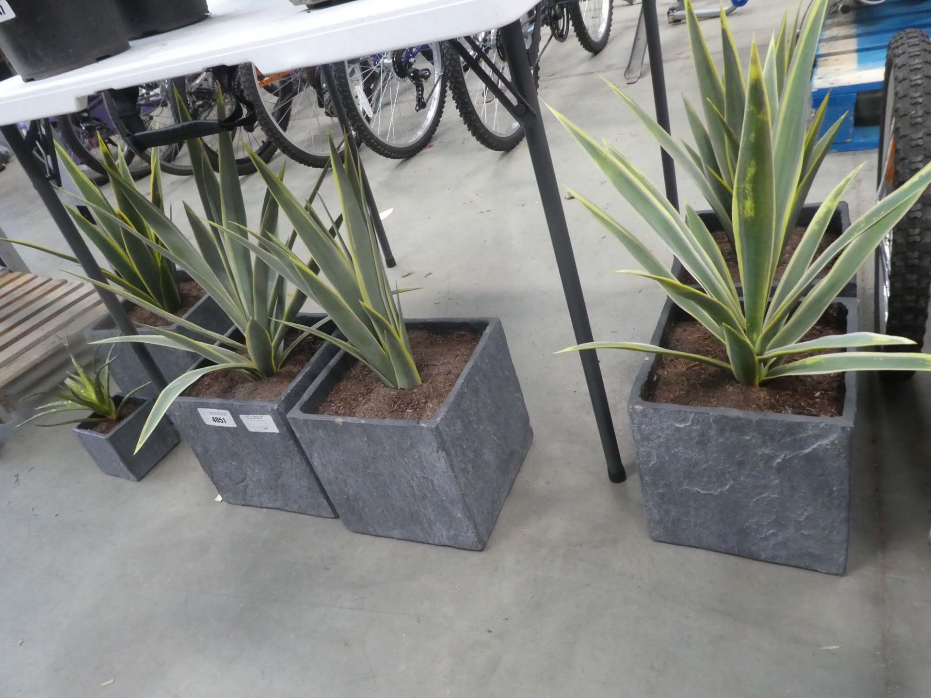 6 artificial succulents in grey pots