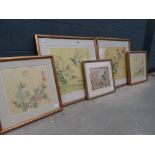 5 framed and glazed Chinese floral and bird prints