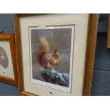 Limited edition Robert Fuller print entitled Squirrel Nutkin